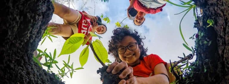 Green Skills for Youths: Towards a Sustainable World
